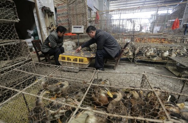Poultry market in Wuhan, Hubei province.
